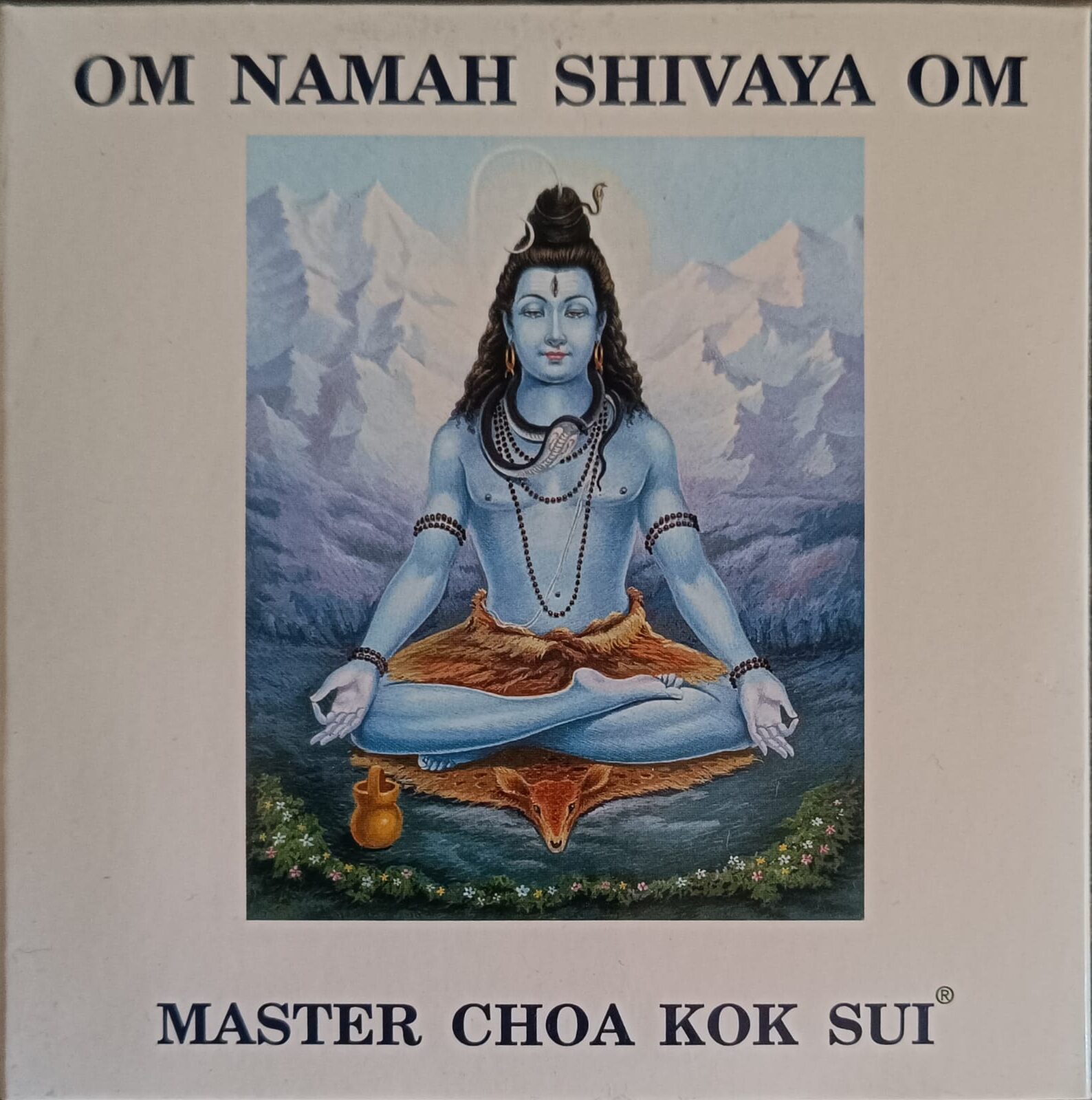 Om Namah Shivaya Om